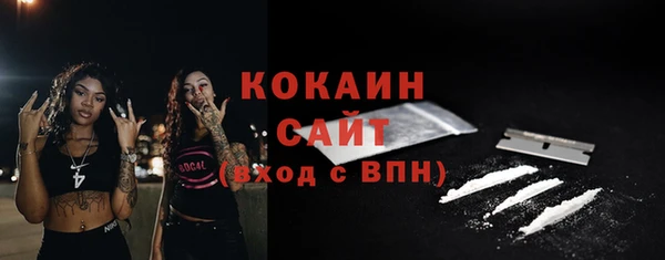 прущие грибы Лагань