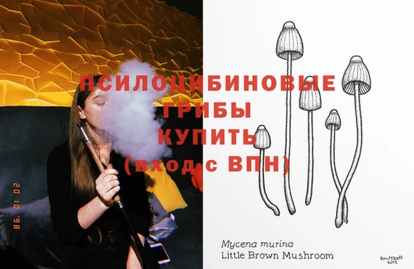 МДПВ Лабытнанги