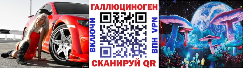 Псилоцибиновые грибы Cubensis Елизаветинская