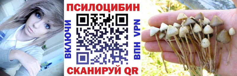 mega ТОР  Елизаветинская  Псилоцибиновые грибы Cubensis  что такое наркотик 